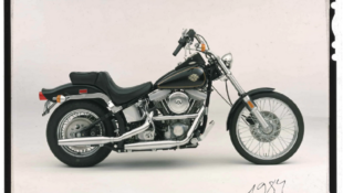 1984 FXST Softail