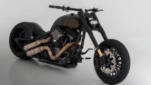 Bundnerbike’s The Artwork Is a Spectacular Custom Harley Softail