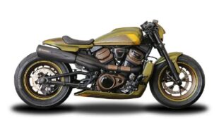 Subtle Changes Make this Sportster S Custom a Beauty