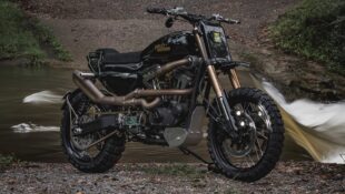 Sportster scrambler 2