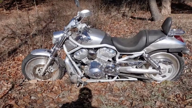 How Did This Harley-Davidson V-Rod Wind Up Abandoned in the Woods?